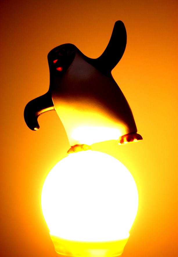 The light looks warm and nice, but the penguin is now even darker than before.