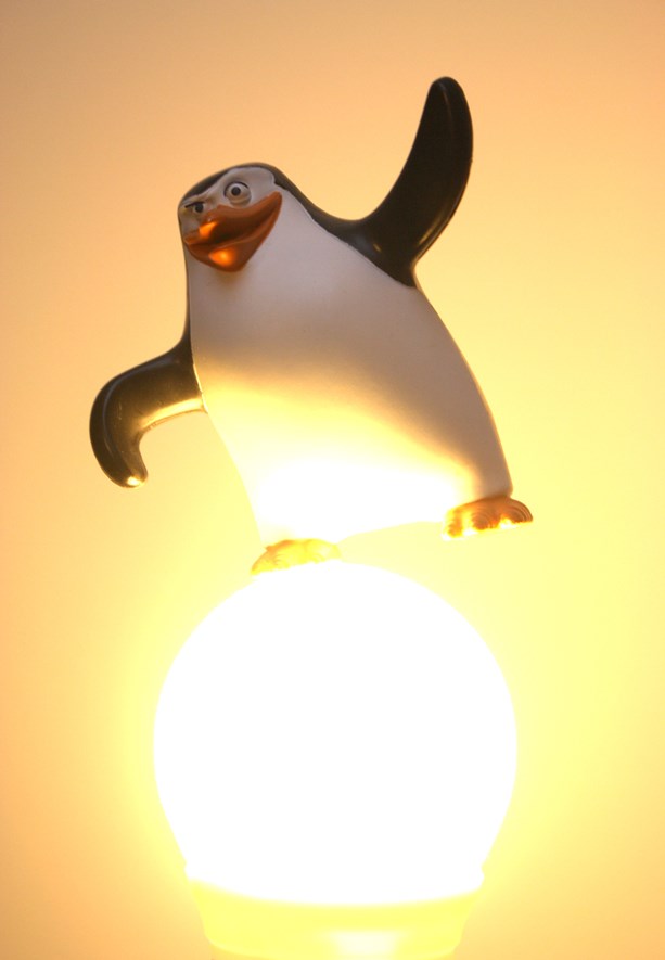 Penguin looks good. But now the light bulb is too bright.